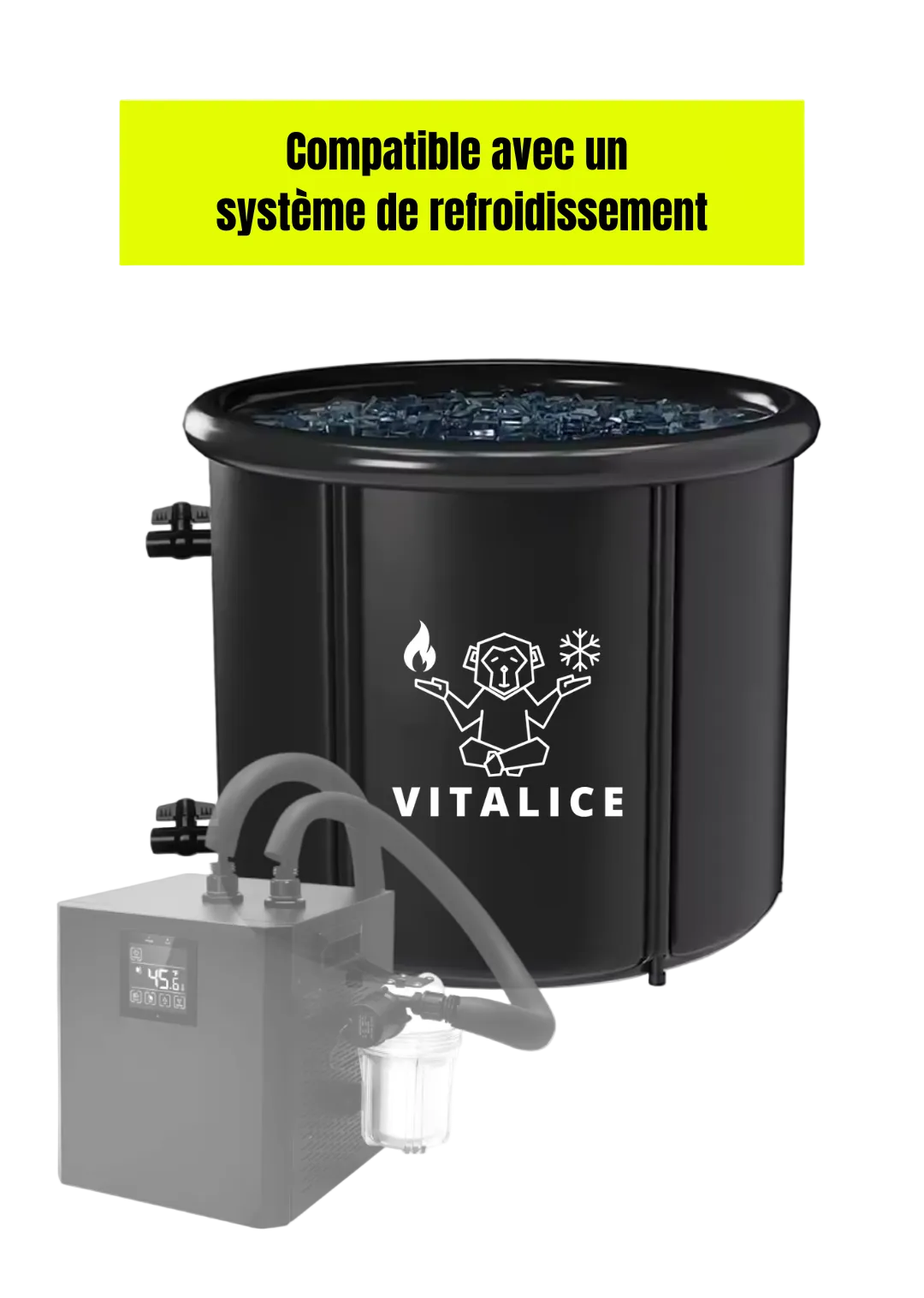 VitalPOD N° 1 - EVOLUTIF